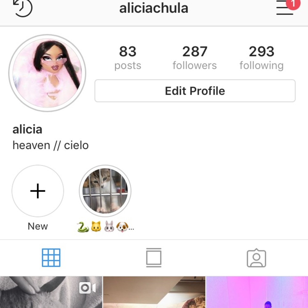 Follow me on Instagram!